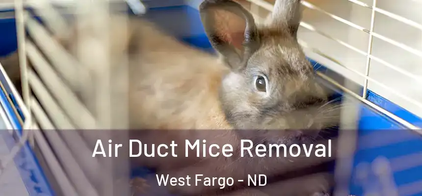 Air Duct Mice Removal West Fargo - ND