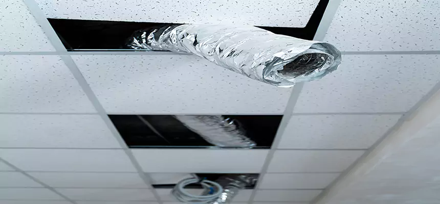 Affordable HVAC Sanitizing After Pest Removal in West Fargo