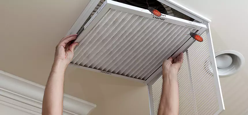 Our Insect Removal from Air Ducts Services in West Fargo, ND