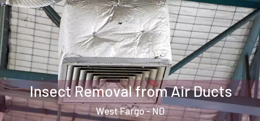  Insect Removal from Air Ducts West Fargo - ND