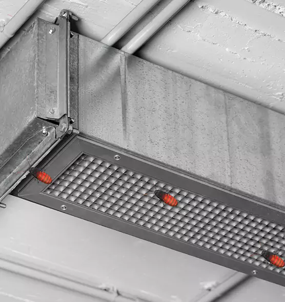 About Air Duct Cockroach Removal in West Fargo, ND