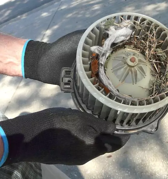 About Air Duct Rat Removal in West Fargo, ND