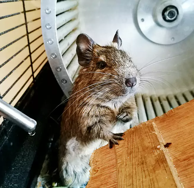 Why Homeowners & Businesses Trust Us West Fargo, ND?